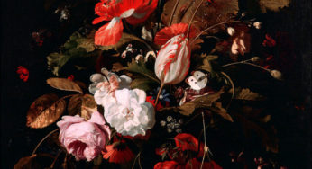 Willem van Aelst