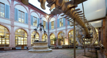 Musée d’Histoire Naturelle de l’Académie des Sciences de Sienne, Italie