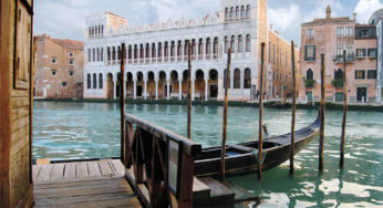 Museum für Naturgeschichte von Venedig, Italien