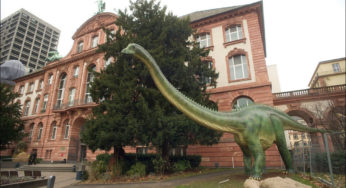 Senckenberg Nature Museum, Francoforte sul Meno, Germania