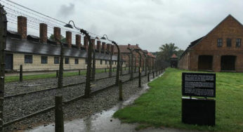 Musée juif et synagogue Oświęcim, Pologne