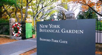 New York Botanical Garden, NYC, Estados Unidos