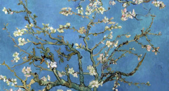 Van Gogh Japanese influence, Inspiration from Japan, Van Gogh Museum