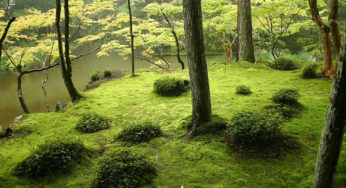 Colore verde nella scienza e nella natura