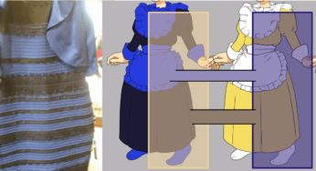 The dress viral phenomenon