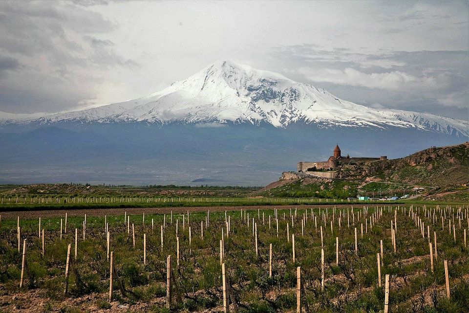 الزراعة في أرمينيا