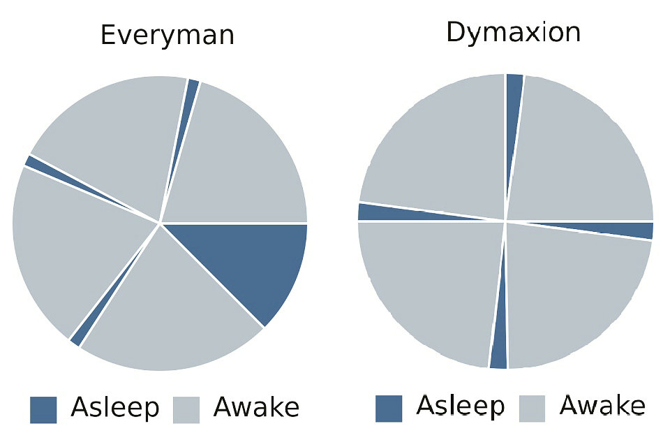 Biphasic and polyphasic sleep