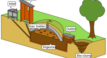 Biogas