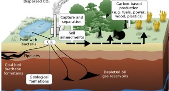 Politique d’atténuation du changement climatique