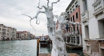 Azerbaïdjan Biennale de Venise 2015, Italie