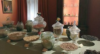 Itinerary dedicated to perfume, Mocenigo Palace-Museum