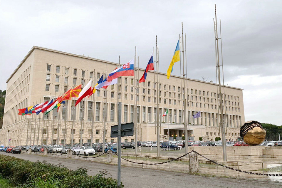 Palazzo della Farnesina, Ministero degli Affari Esteri e della Cooperazione Internazionale, Roma, Italia