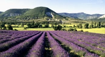 フランス、オーヴェルニュ＝ローヌ＝アルプ、ドローム、バロニプロヴァンスの地方自然公園