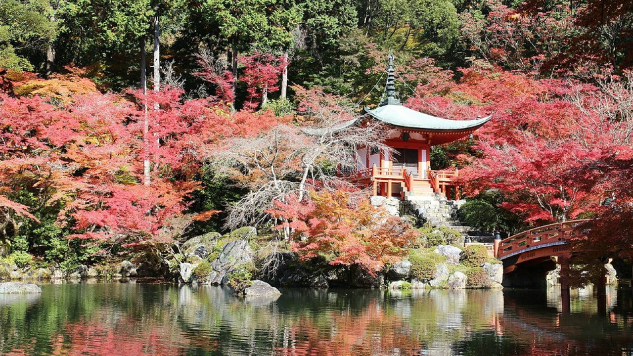 山科 醍醐エリア 日本京都観光ルート Hisour 芸術 文化 美術 歴史