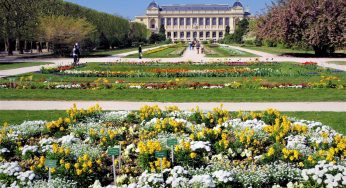 Visita guiada ao Jardin des plantes, Paris, França