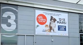 Rückblick auf die Paris Animal Show 2022, Frankreich