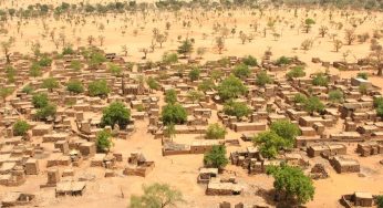 Путеводитель по Мали: Золотая империя, затерянная в песке